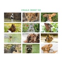 Trio Horizontal - Cute animals Visuals