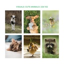 Cute animals - 226 102 visuals