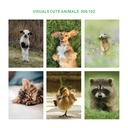 Cute animals - 306 102 Visuals