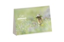 Trio illustrated - Cute animals cover
