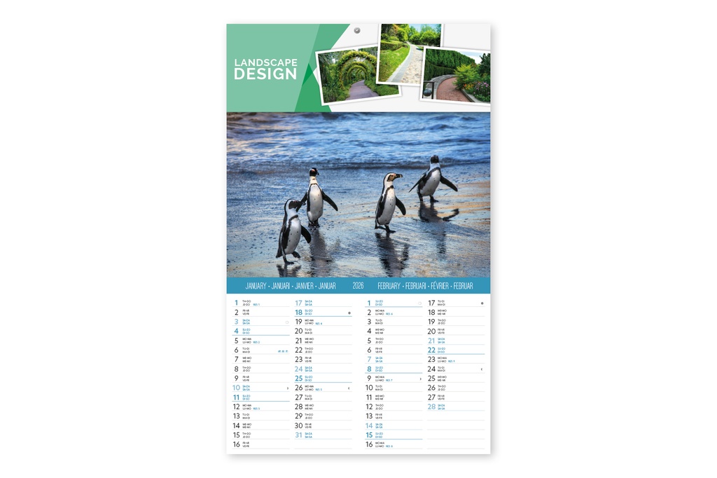 Sealife Large 6 leaves