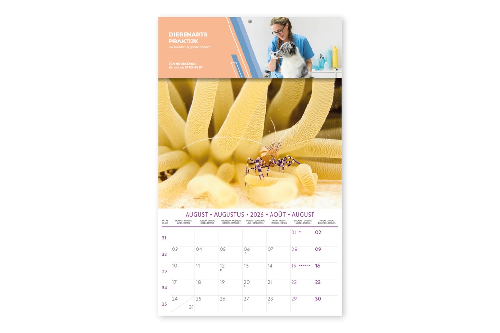 Sealife Large 13 leaves